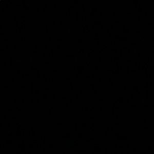 Meet your Posher, Renea